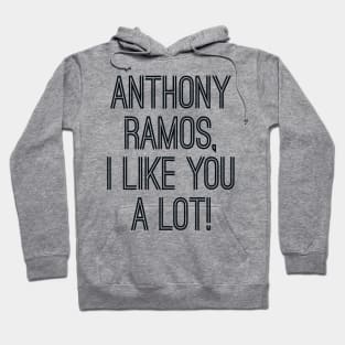 Anthony, I like you a lot Hoodie